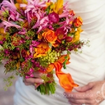 Spring: fuchsia, hot pink, tangerine, deep pink, apple green